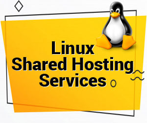 Linux Shared Hosting Services