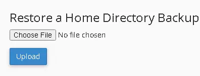 Restore a home file