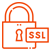 Secure your website with a FREE SSL Certificate, safeguarding customer credentials, credit/debit card details, and transaction information with advanced encryption.