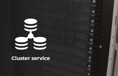  Cluster-service