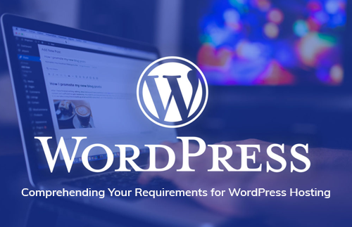 Wordpress-hstg