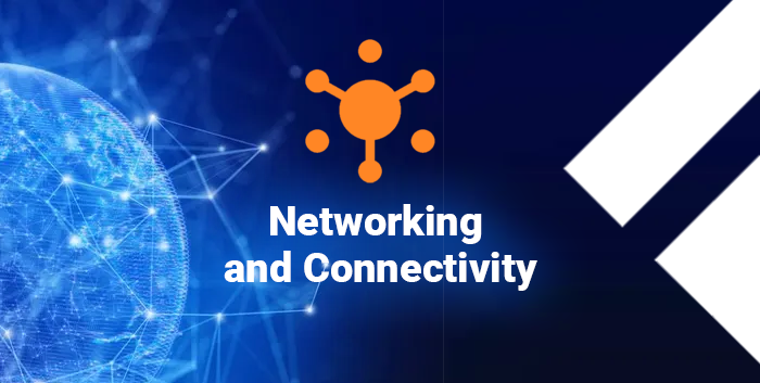 Networking and Connectivity 