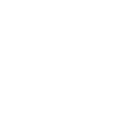 WAF (Apache mod security)