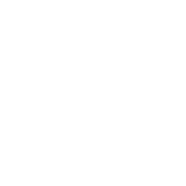 WAF (Apache mod security)