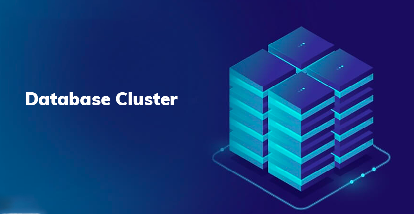 Database Cluster