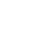 WAF (Apache mod security)