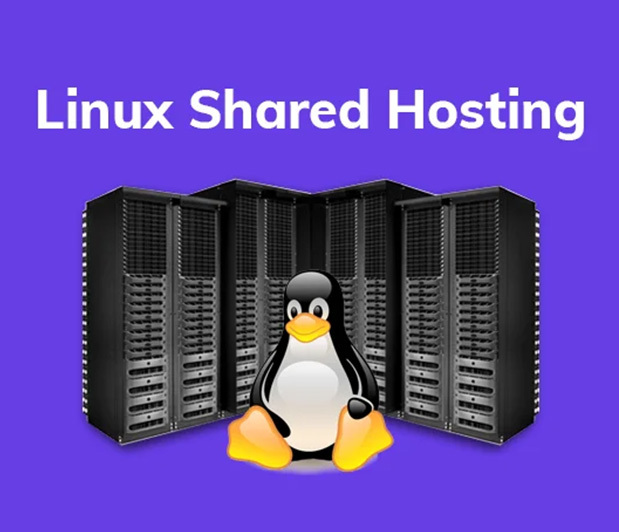linux-shared-last-main