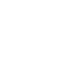 WAF (Apache mod security)