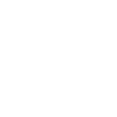 WAF (Apache mod security)