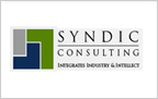 syndic consulting