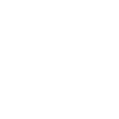 WAF (Apache mod security)