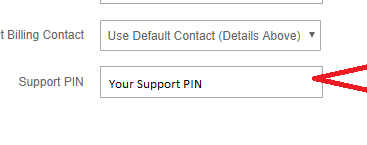 Support pin 